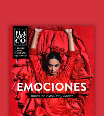 Creatividad Publicitaria para Teatro Flamenco Madrid